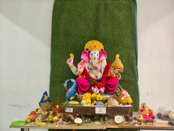 Jagruti Degree and PG College Vinayaka Chavithi